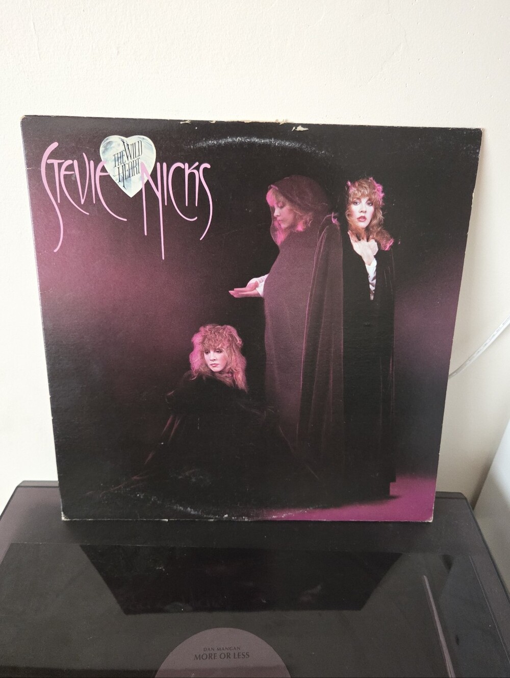 Stevie Nicks - The Wild Heart